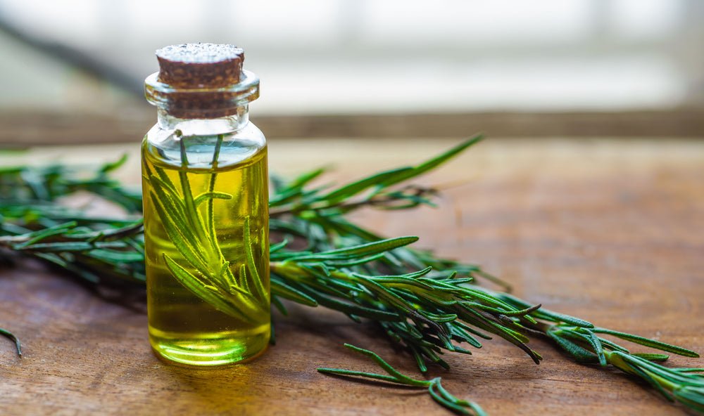 rosemary essential oil to block EMF